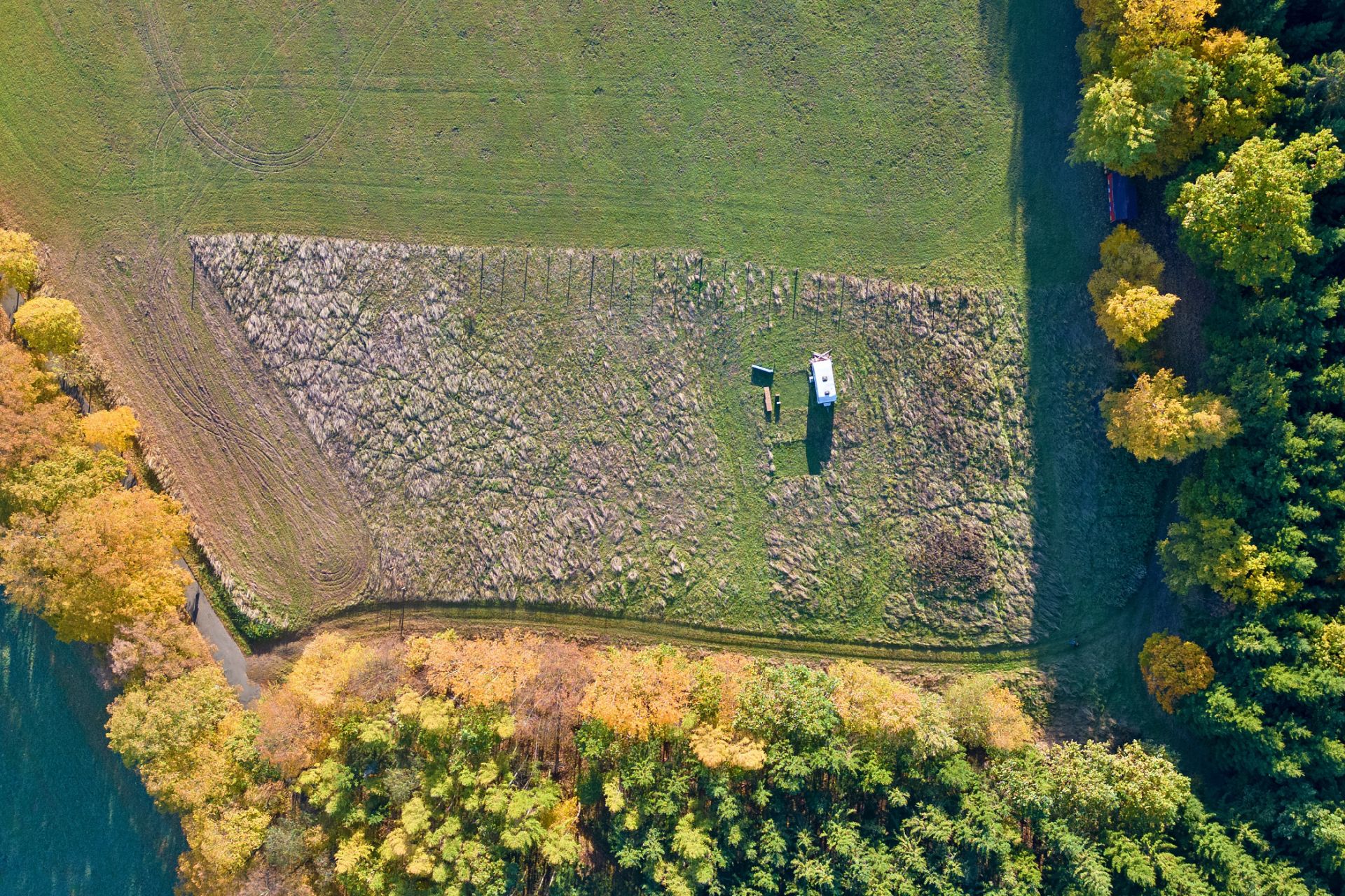 Prodej louky, 5287 m², Kdyně